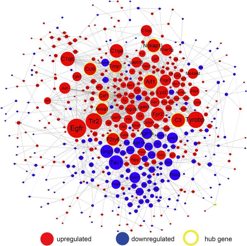 https://cdn.ncbi.nlm.nih.gov/pmc/blobs/0628/10385911/0debc17080cb/12967_2023_4375_Fig4_HTML.jpg