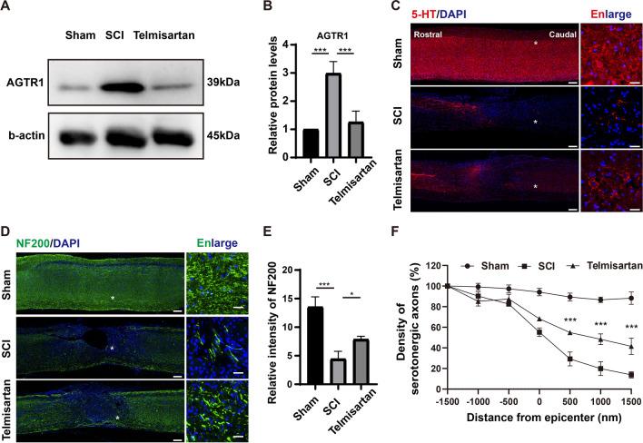 https://cdn.ncbi.nlm.nih.gov/pmc/blobs/0628/10385911/1063ee1b27e3/12967_2023_4375_Fig6_HTML.jpg