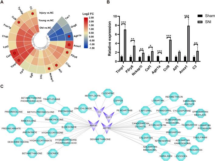 https://cdn.ncbi.nlm.nih.gov/pmc/blobs/0628/10385911/33cb3abec888/12967_2023_4375_Fig5_HTML.jpg