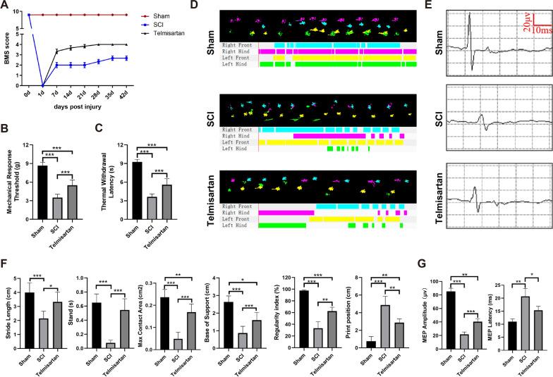 https://cdn.ncbi.nlm.nih.gov/pmc/blobs/0628/10385911/58c62164c589/12967_2023_4375_Fig7_HTML.jpg