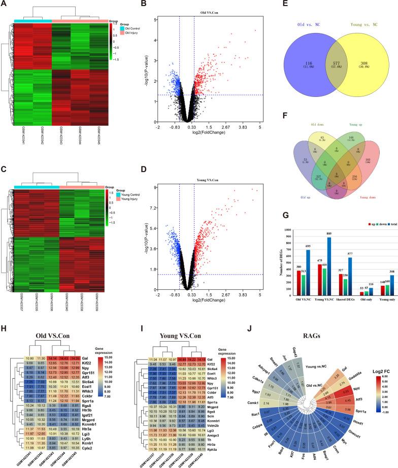 https://cdn.ncbi.nlm.nih.gov/pmc/blobs/0628/10385911/b663f8460ecc/12967_2023_4375_Fig2_HTML.jpg