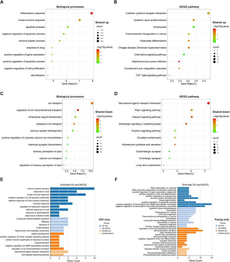 https://cdn.ncbi.nlm.nih.gov/pmc/blobs/0628/10385911/efdfee78e112/12967_2023_4375_Fig3_HTML.jpg