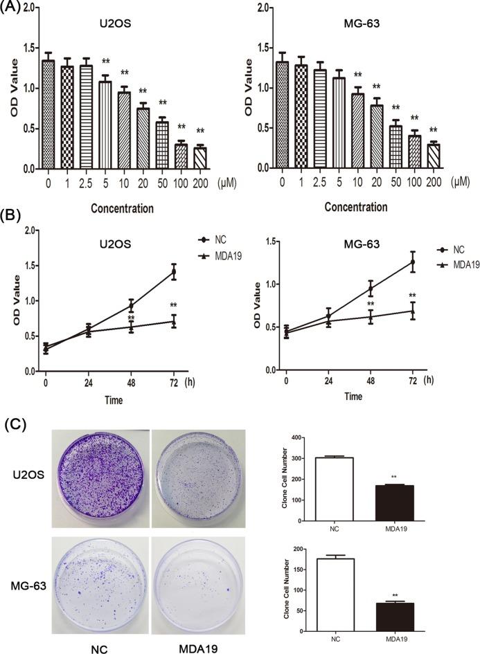 https://cdn.ncbi.nlm.nih.gov/pmc/blobs/062a/6294623/d20cf05cd5e6/bsr-38-bsr20181501-g1.jpg