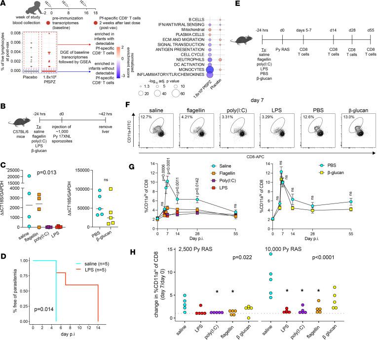 https://cdn.ncbi.nlm.nih.gov/pmc/blobs/062b/11382880/4758080d653a/jciinsight-9-167408-g107.jpg