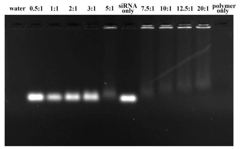 https://cdn.ncbi.nlm.nih.gov/pmc/blobs/062b/7077636/0670f35734f6/polymers-12-00445-g003.jpg