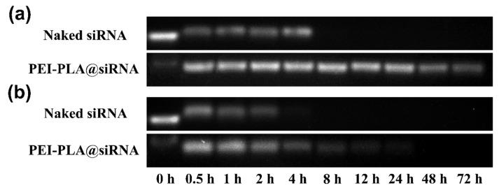 https://cdn.ncbi.nlm.nih.gov/pmc/blobs/062b/7077636/98ec6aae27e8/polymers-12-00445-g004.jpg