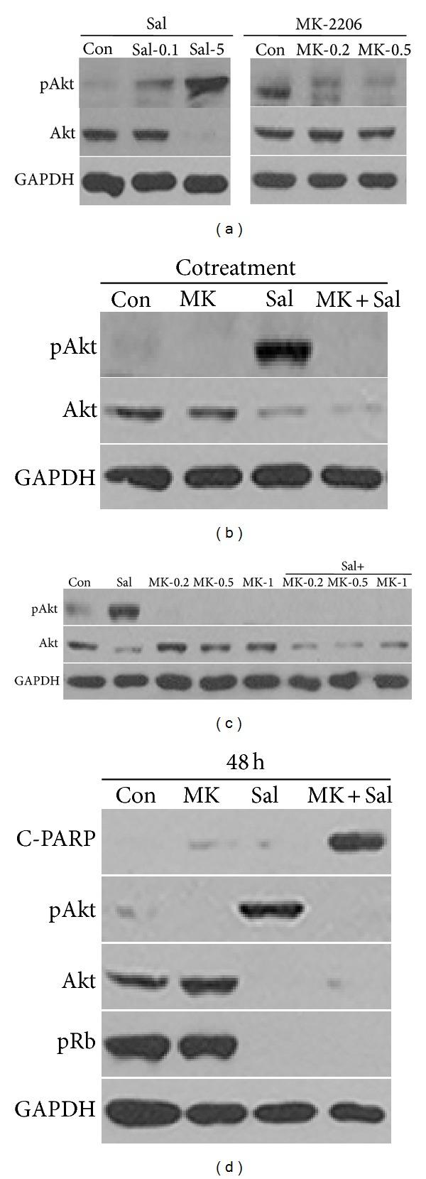 https://cdn.ncbi.nlm.nih.gov/pmc/blobs/062c/4119636/de27d5552606/BMRI2014-295760.001.jpg
