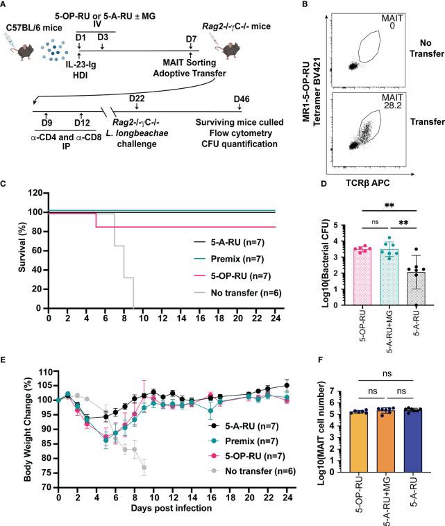 https://cdn.ncbi.nlm.nih.gov/pmc/blobs/062f/10500299/b1bde0d84e74/fimmu-14-1109759-g004.jpg