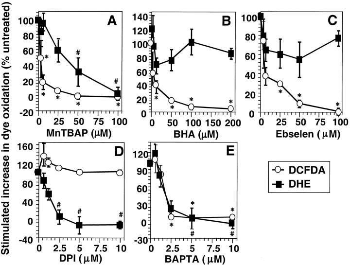 https://cdn.ncbi.nlm.nih.gov/pmc/blobs/0630/2196010/ace9e5e82926/010659f2.jpg