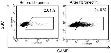 https://cdn.ncbi.nlm.nih.gov/pmc/blobs/0631/3155543/299c69ba1702/pone.0023210.g007.jpg