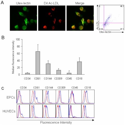https://cdn.ncbi.nlm.nih.gov/pmc/blobs/0631/3155543/94b8daf55ab5/pone.0023210.g002.jpg