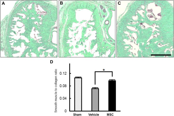 https://cdn.ncbi.nlm.nih.gov/pmc/blobs/0631/5815969/991f538a517d/gr4.jpg