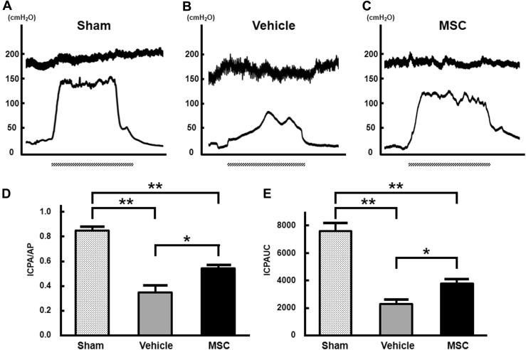 https://cdn.ncbi.nlm.nih.gov/pmc/blobs/0631/5815969/f835e4651f90/gr2.jpg
