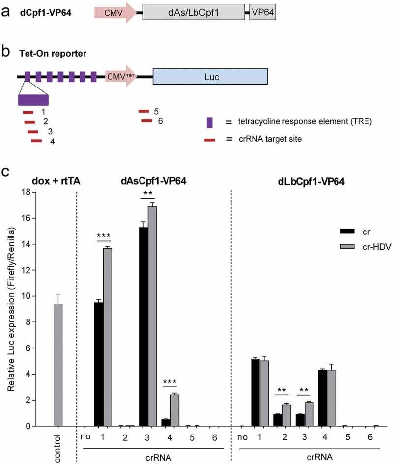 https://cdn.ncbi.nlm.nih.gov/pmc/blobs/0631/6333430/406a22c032f1/krnb-15-12-1551703-g005.jpg