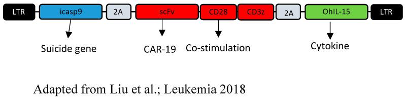 https://cdn.ncbi.nlm.nih.gov/pmc/blobs/0632/9367380/a68ffa0d16db/cancers-14-03839-g003.jpg