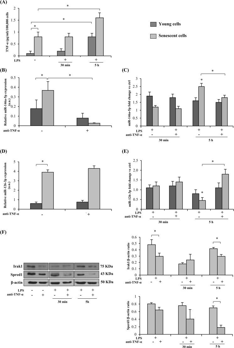 https://cdn.ncbi.nlm.nih.gov/pmc/blobs/0636/4914260/23828e48d192/oncotarget-07-11945-g002.jpg