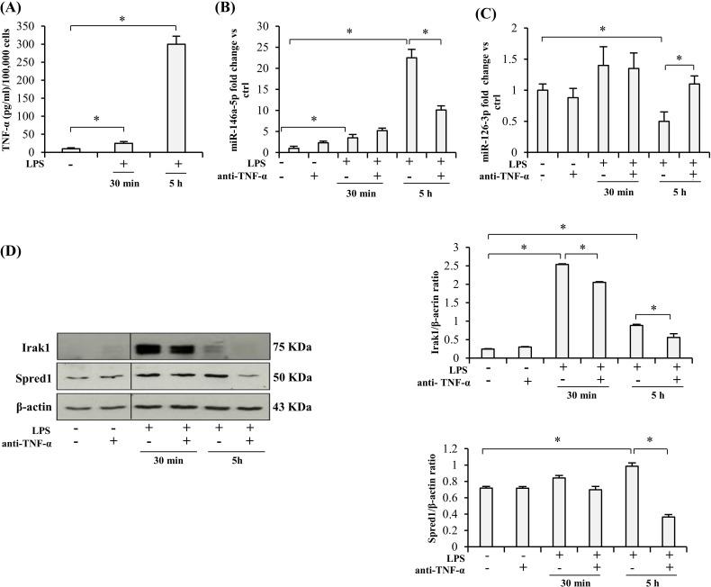 https://cdn.ncbi.nlm.nih.gov/pmc/blobs/0636/4914260/492286f9cb4c/oncotarget-07-11945-g001.jpg