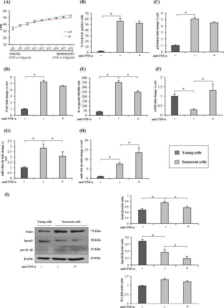 https://cdn.ncbi.nlm.nih.gov/pmc/blobs/0636/4914260/8d59f415f070/oncotarget-07-11945-g003.jpg