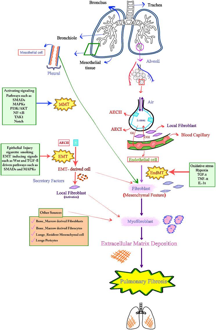https://cdn.ncbi.nlm.nih.gov/pmc/blobs/0639/11558984/ac6db2bb81ab/12964_2024_1925_Fig2_HTML.jpg