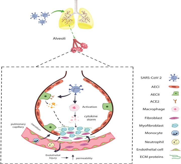 https://cdn.ncbi.nlm.nih.gov/pmc/blobs/0639/11558984/c75d451f548f/12964_2024_1925_Fig1_HTML.jpg
