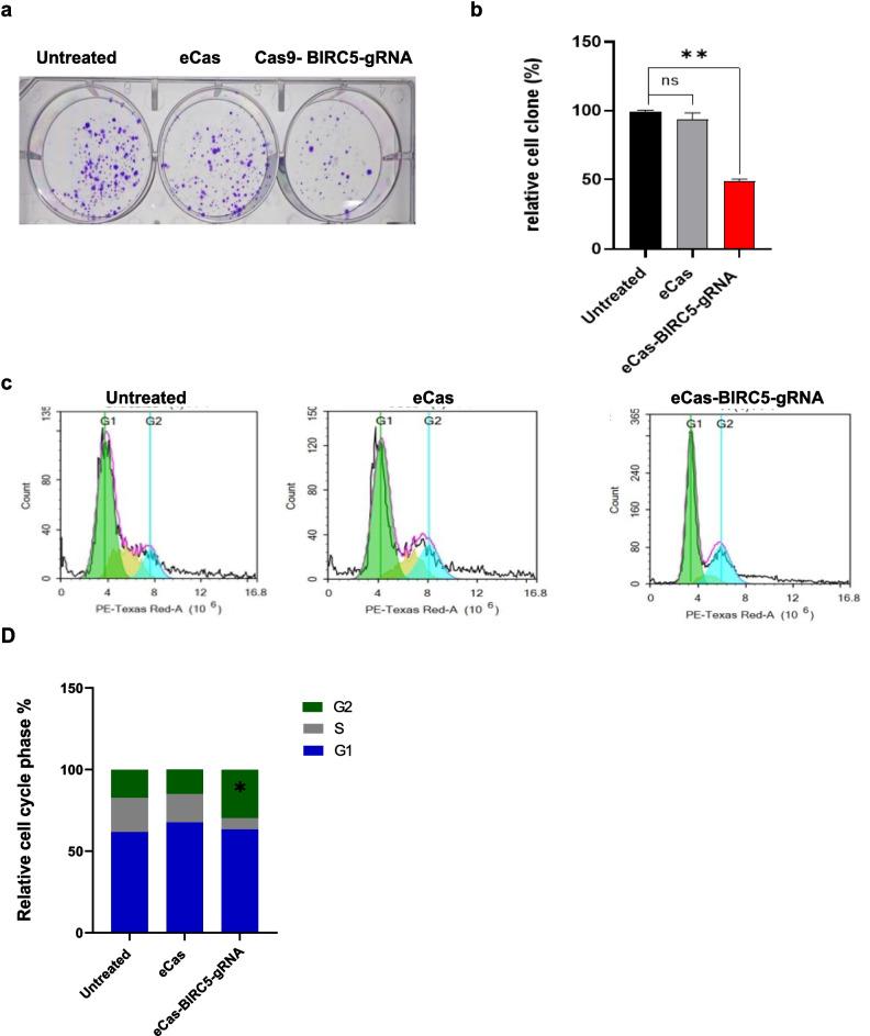 https://cdn.ncbi.nlm.nih.gov/pmc/blobs/063b/12141170/5d9e45937693/10142_2025_1615_Fig3_HTML.jpg