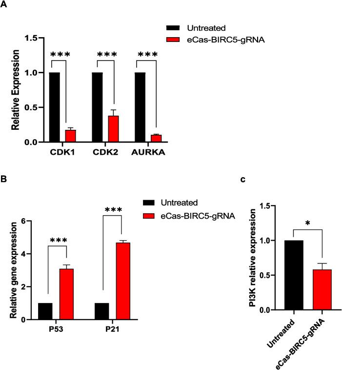 https://cdn.ncbi.nlm.nih.gov/pmc/blobs/063b/12141170/e23ccfd41611/10142_2025_1615_Fig4_HTML.jpg