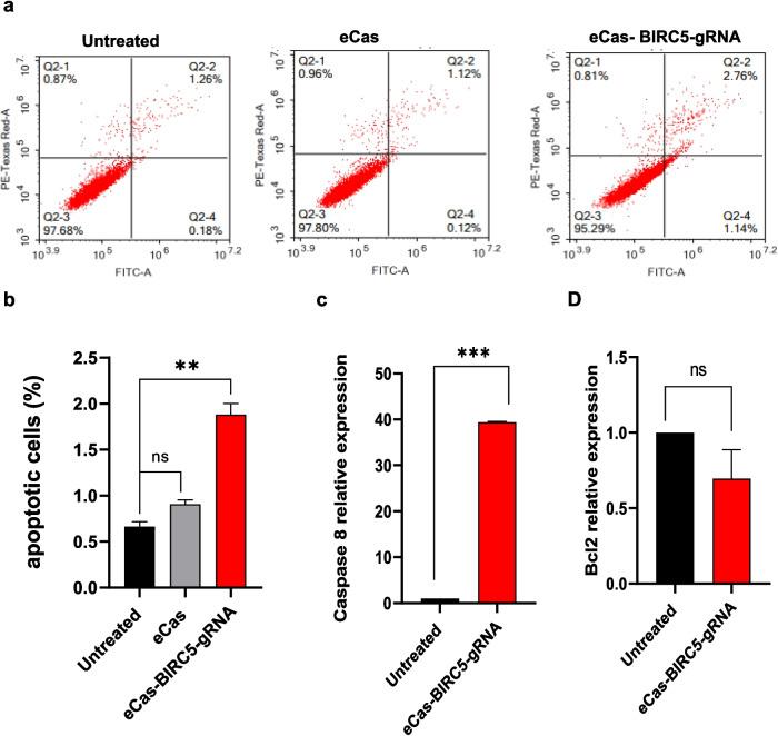 https://cdn.ncbi.nlm.nih.gov/pmc/blobs/063b/12141170/fd20da29cf35/10142_2025_1615_Fig5_HTML.jpg