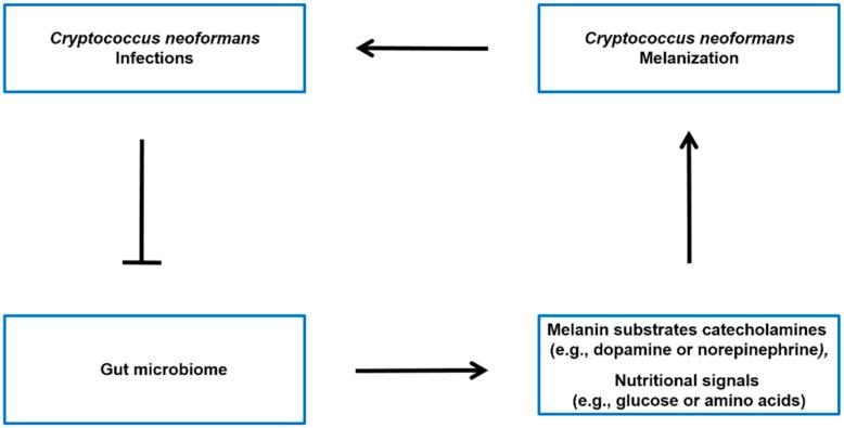 https://cdn.ncbi.nlm.nih.gov/pmc/blobs/063d/10487799/592d3d77e2cf/ijms-24-13515-g003.jpg