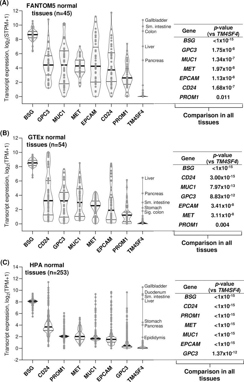 https://cdn.ncbi.nlm.nih.gov/pmc/blobs/063d/11856526/331f77d9cce1/pone.0307048.g002.jpg