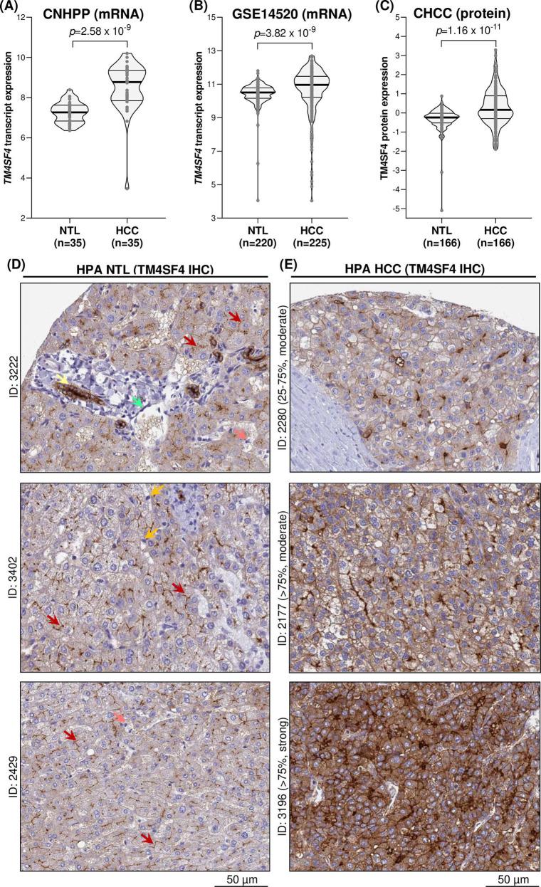 https://cdn.ncbi.nlm.nih.gov/pmc/blobs/063d/11856526/348a643b63b9/pone.0307048.g006.jpg