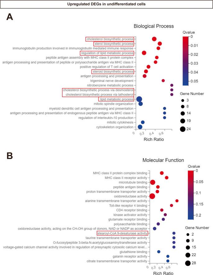https://cdn.ncbi.nlm.nih.gov/pmc/blobs/0641/12351005/3a4f83025ad9/18_2025_5817_Fig7_HTML.jpg