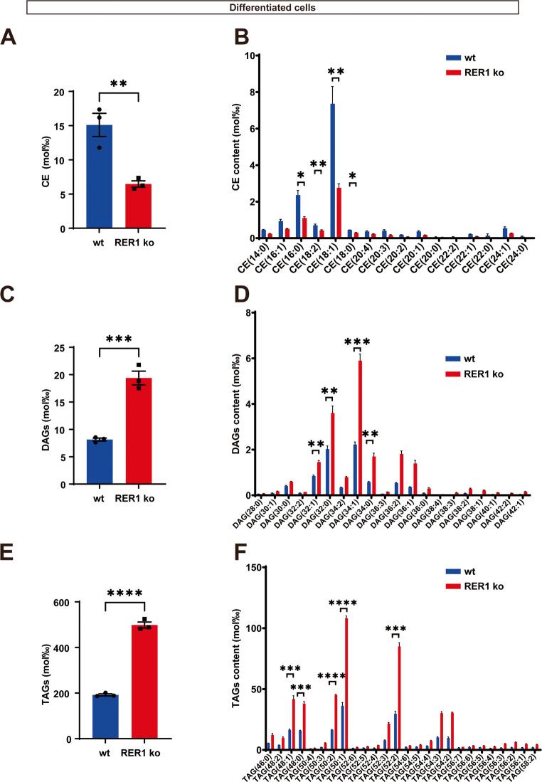 https://cdn.ncbi.nlm.nih.gov/pmc/blobs/0641/12351005/41bd506cef16/18_2025_5817_Fig4_HTML.jpg