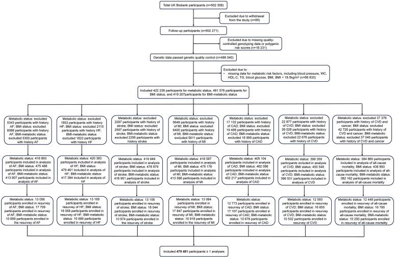 https://cdn.ncbi.nlm.nih.gov/pmc/blobs/0642/11225301/7f23ac19d2aa/12933_2024_2332_Fig1_HTML.jpg