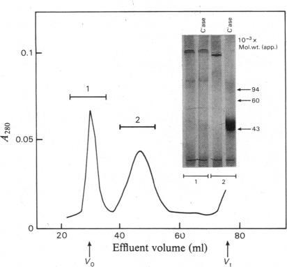 https://cdn.ncbi.nlm.nih.gov/pmc/blobs/0642/1163134/e8f5dd237fc5/biochemj00395-0119-b.jpg