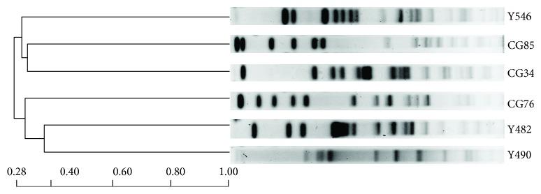 https://cdn.ncbi.nlm.nih.gov/pmc/blobs/0644/6317114/62d8b5e35dc8/IJG2018-4989602.001.jpg