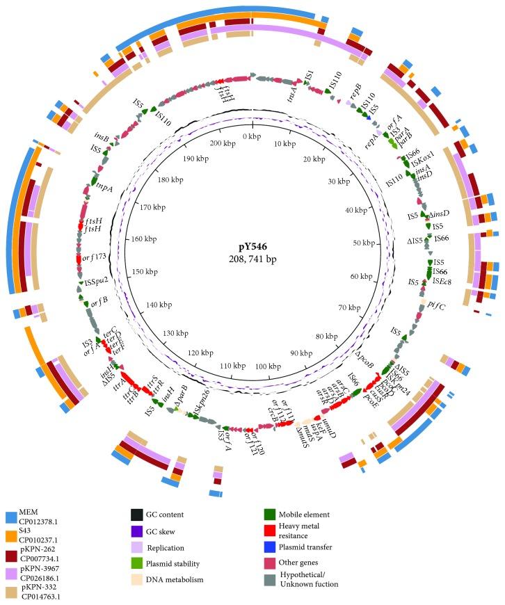 https://cdn.ncbi.nlm.nih.gov/pmc/blobs/0644/6317114/87e1f25b0fee/IJG2018-4989602.004.jpg