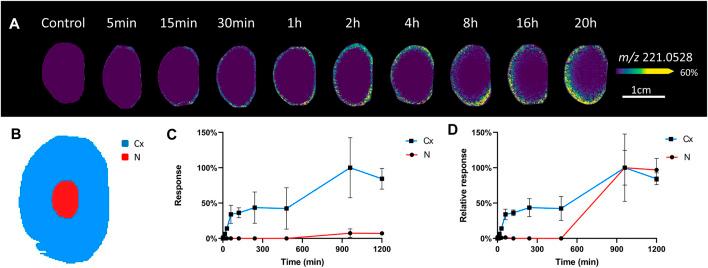 https://cdn.ncbi.nlm.nih.gov/pmc/blobs/0645/9194507/129b540a5301/fphys-13-901407-g002.jpg
