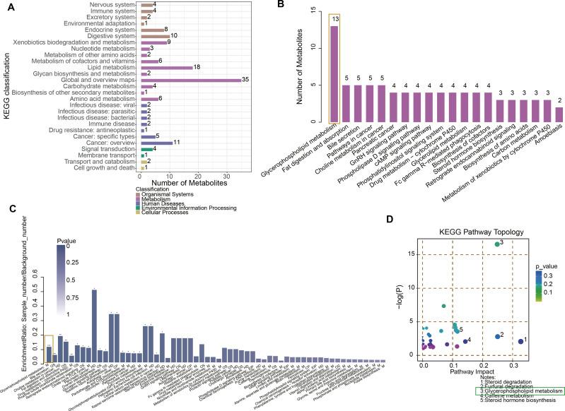 https://cdn.ncbi.nlm.nih.gov/pmc/blobs/0646/12049100/3a75ee8b4f8b/peerj-13-19317-g002.jpg