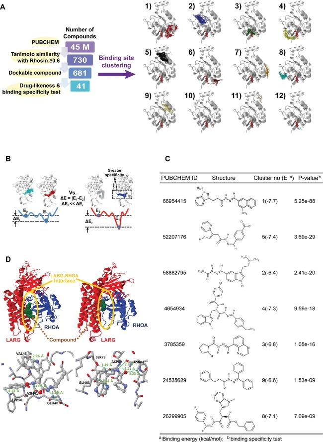 https://cdn.ncbi.nlm.nih.gov/pmc/blobs/0647/5348404/3b26f1c03754/oncotarget-07-81435-g007.jpg