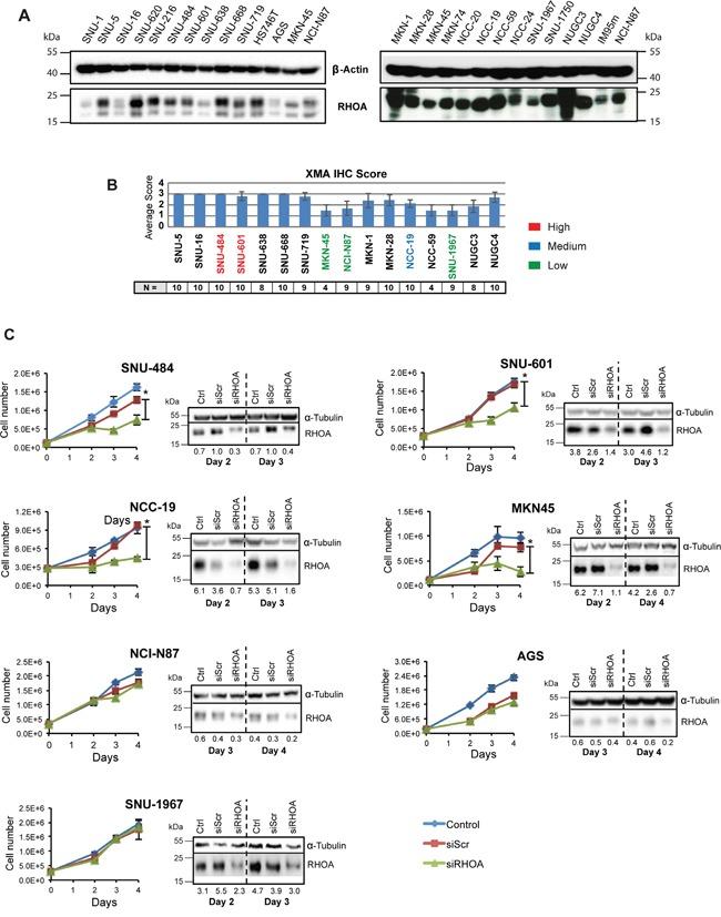 https://cdn.ncbi.nlm.nih.gov/pmc/blobs/0647/5348404/e0579ad551a8/oncotarget-07-81435-g003.jpg