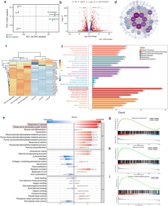 https://cdn.ncbi.nlm.nih.gov/pmc/blobs/0648/12165120/8cc452e2c96b/ADVS-12-2417570-g006.jpg