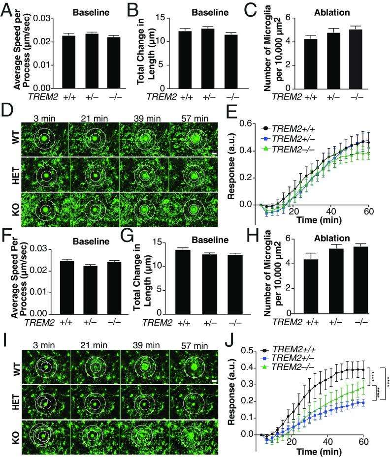 https://cdn.ncbi.nlm.nih.gov/pmc/blobs/0648/6176614/4dab9c4dace3/pnas.1811411115fig01.jpg