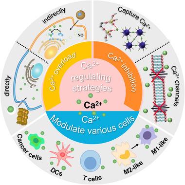https://cdn.ncbi.nlm.nih.gov/pmc/blobs/0649/10867402/067fcaba9c61/EXP2-4-20230019-g021.jpg