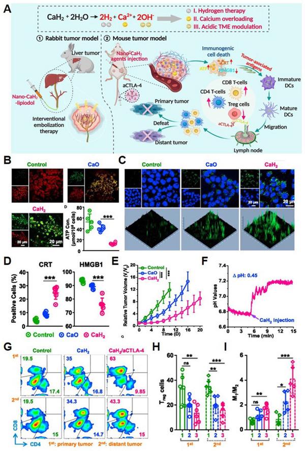 https://cdn.ncbi.nlm.nih.gov/pmc/blobs/0649/10867402/4cea5e6d03e7/EXP2-4-20230019-g001.jpg