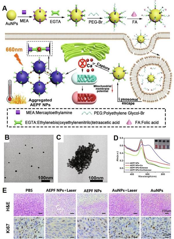 https://cdn.ncbi.nlm.nih.gov/pmc/blobs/0649/10867402/7a1be64f086d/EXP2-4-20230019-g022.jpg