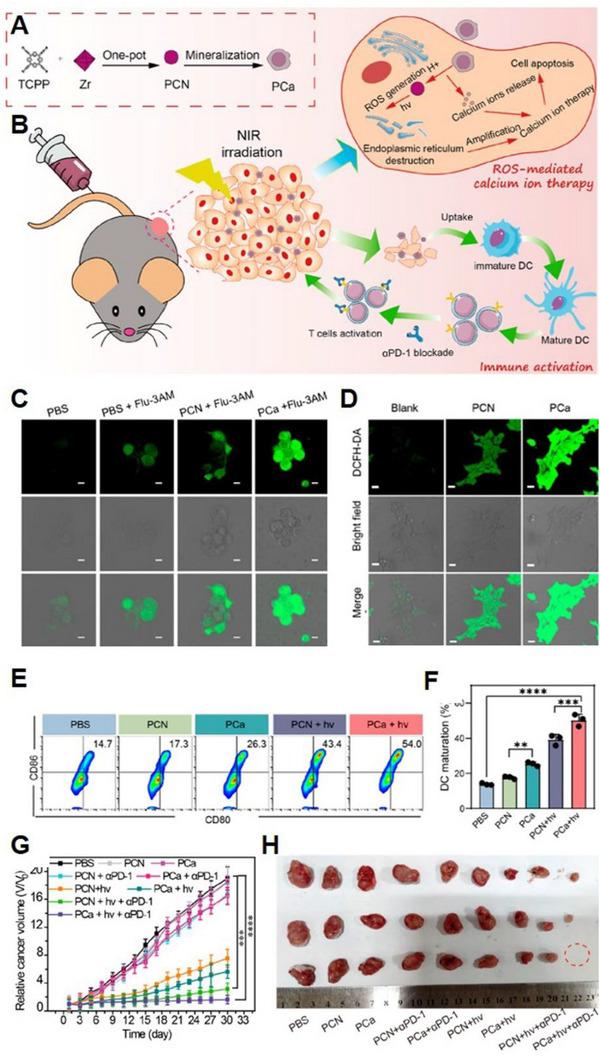 https://cdn.ncbi.nlm.nih.gov/pmc/blobs/0649/10867402/7b8ca1371cb8/EXP2-4-20230019-g002.jpg