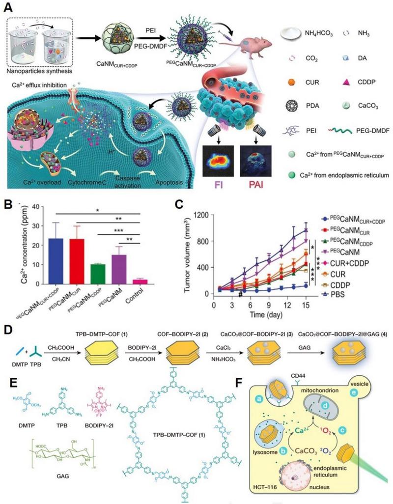 https://cdn.ncbi.nlm.nih.gov/pmc/blobs/0649/10867402/9628e2172133/EXP2-4-20230019-g014.jpg