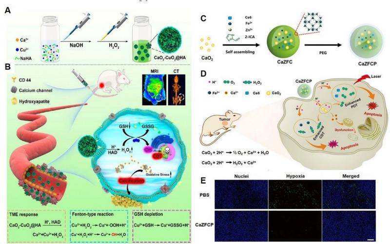 https://cdn.ncbi.nlm.nih.gov/pmc/blobs/0649/10867402/c6e9d73d15ca/EXP2-4-20230019-g008.jpg