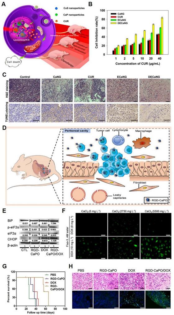 https://cdn.ncbi.nlm.nih.gov/pmc/blobs/0649/10867402/cb840358ce6a/EXP2-4-20230019-g009.jpg