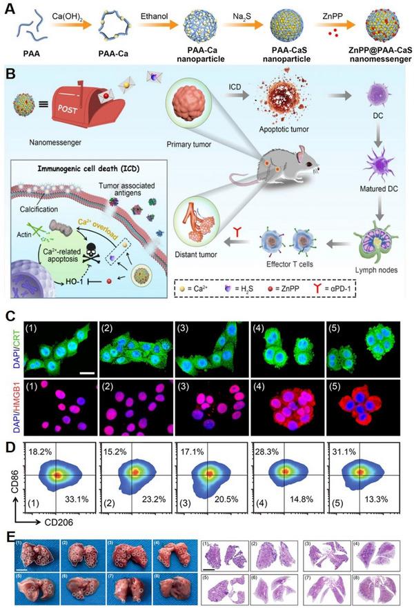 https://cdn.ncbi.nlm.nih.gov/pmc/blobs/0649/10867402/d2431d2a0ba3/EXP2-4-20230019-g012.jpg